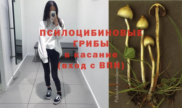 экстази Нязепетровск