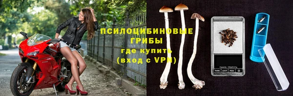 СК Новодвинск