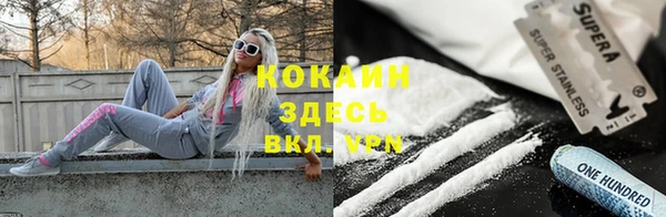 стафф Няндома