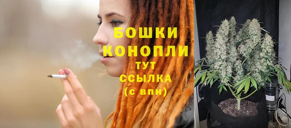шишки Нягань